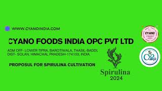 Spirulina Farming Consultation [upl. by Giza]