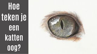 TEKENTIPS Hoe teken je een oog KAT [upl. by Alegnaed]