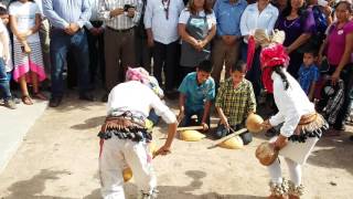 Orgullo Sonorense niños de Bacáme nuevo Etchojoa [upl. by Flin]