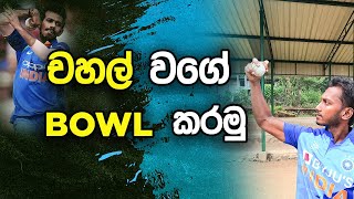 How to Bowl LIke Chahal  Fielding JayA [upl. by Steere]