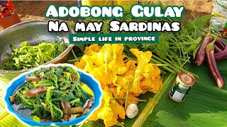 Ep502024  Adobong Gulay na may Sardinas  Simple Life in Province [upl. by Onfre233]