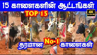 Top 15 best தரமான No  1 காளைகள் Tamizhan Trending [upl. by Antonino]