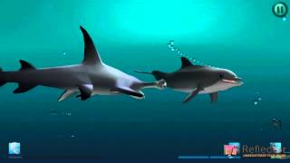 quotI Am Dolphinquot iOS Gameplay Video  Bandit vs Hammer Shark and 2 Dogfish [upl. by Jentoft]