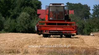 Bizon Z056 kombajn zbożowy  żniwa w quotPolska na Kołachquot  polska wieś [upl. by Witty]