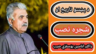 Pashtun Afghan history abaseen Yousafzai پښتانه څوک دې؟ پښتانه نسلآ څوک دې؟ [upl. by Namolos]