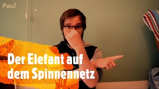 Der Elefant auf dem Spinnennetz  Kinderlieder mit BestZeller Cover Klaus Neuhaus [upl. by Aeel788]