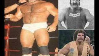 Pics Of Wrestlers Before They Were Famous [upl. by Irok]