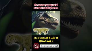 سیناپسیدها،synapsids دانستنیها newfact حیوانات animal دایناسور dinosaur animals [upl. by Montanez]