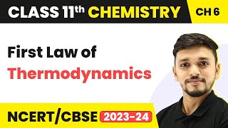 Class 11 Chemistry Chapter 6  First Law of Thermodynamics  Thermodynamics  Class 11 CBSENCERT [upl. by Pinzler]