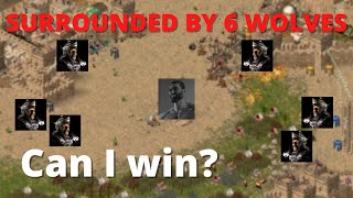 Can you beat 6 WOLVES on WORST MAP FFA Also MAX Gold Disadvantage  Stronghold Crusader [upl. by Mona]