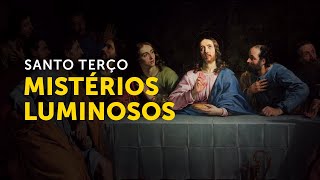 Reze o terço com o Padre Paulo Ricardo Mistérios Luminosos [upl. by Leorsiy885]