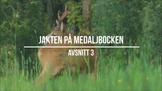 Jakten På Medaljbocken  Avsnitt 3 [upl. by Tsepmet]