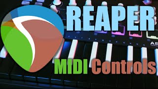 How to Use a MIDI Controller to Control DAW Actions in Reaper [upl. by Linoel]