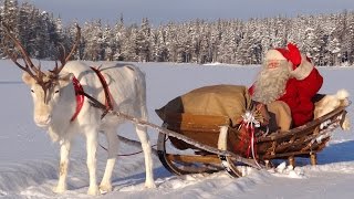 Best of Santa Claus video messages for kids 🦌🎅 Father Christmas in Lapland Finland for children [upl. by Ellingston838]