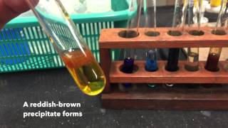 Cation Test IronIII Ions [upl. by Aurelea]