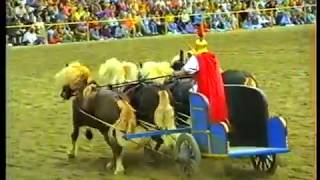 Landesgestüt Marbach  Hengstparade 1990 [upl. by Esma]