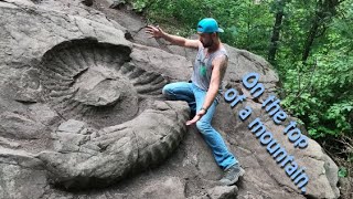 OMG What the Heck did I Just Find  World Record Largest Ammonite Fossil  Destination Adventure [upl. by Maillw]