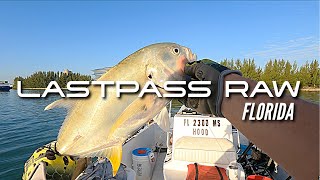 Hooking a Crevalle Jack  Indian River Fort Pierce Florida [upl. by Maiah]