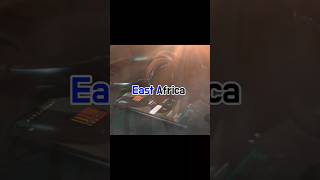 Dishta feat Akon lyrics africa music song ethio habesha ethiopia hellohabesha [upl. by Goulder67]