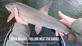 River Wandle  Rolling meat for barbel  Pescuit la mreana cu cubulet de carne [upl. by Solley14]