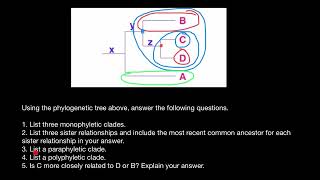 Taxon and Clade explained [upl. by Angadresma]