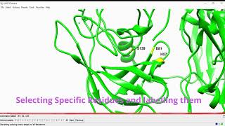 CHIMERA  Basics  Publication Quality Image Select and Label Specific Residues [upl. by Drofnas]