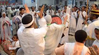 የኦርቶዶክስ ተዋሕዶ የምስጋና መዝሙሮች  Ethiopian Orthodox Tewahedo Songs of Praise Orthodox Tewahedo Mezmur [upl. by Htidirem]