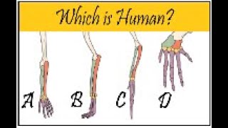 How do you know Evolution happened Evidence  Fossils  Concepts of Biology English Reading Only [upl. by Sillig]