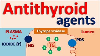 Antithyroid agents [upl. by Zurciram]