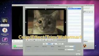 Convert avi m4v mkv mp4 wmv mov flv video to dvd [upl. by Llenroc]