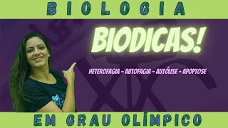 Biodica Heterofagia Autofagia Autólise e Apoptose [upl. by Guthrey]