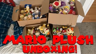 Unboxing My Entire Mario Plush Collection  Super Mario Richie [upl. by Marcille56]