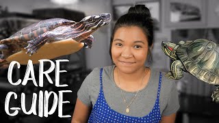 RED EARED SLIDER AND PAINTED TURTLE CARE GUIDE [upl. by Malcom]