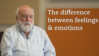 What is the difference between feelings and emotions [upl. by Eixor]