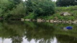 Fishing on the River Swale at Catterick [upl. by Leahsim]