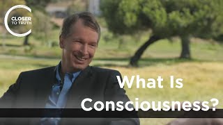 Donald Hoffman  What is Consciousness [upl. by Artenahs]