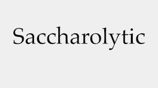 How to Pronounce Saccharolytic [upl. by Sivia]