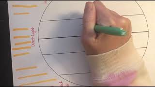 Climate Zones  Tropical Temperate Polar [upl. by Heaps]