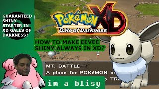 GUARANTEED SHINY STARTER EEVEE IN POKEMON XD GALE OF DARKNESS [upl. by Ailecnarf426]