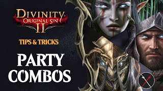 Divinity Original Sin 2 Party Combinations Guide Magic Physical And Mixed [upl. by Jerman]