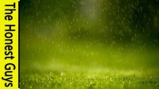 1 Hour of Gentle Rain  Meditation without music [upl. by Haland]