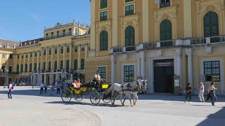 Schönbrunn le château des Habsbourg [upl. by Notsuh700]