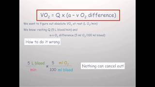 Using Fick equation to calculate VO2 [upl. by Anthony]