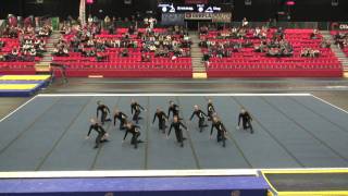 The Nordic Championships 2011  Bromma men [upl. by Assener]