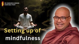 Setting up of mindfulness [upl. by Marve909]