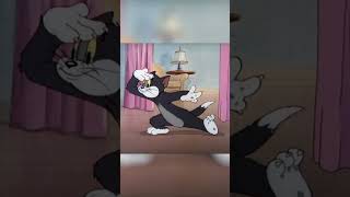 Zeit den Kuchen einzustreichen 👏 Auch Freindinnen brauchen mal eine Pause TomandJerry [upl. by Llevert539]