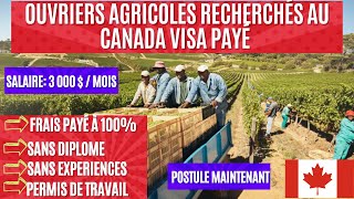 Ouvriers agricoles au Canada avec visa gratuit en 2023 Aucune formation aucune expérience [upl. by Itsur]