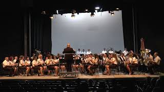 Caballeros de Navarra Ignacio Sánchez Banda de Música dUlldecona [upl. by Yelehsa825]