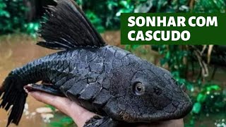 SONHAR COM peixe CASCUDO [upl. by Easlehc]