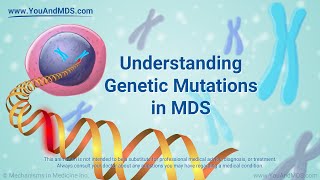 Understanding Genetic Mutations in MDS [upl. by Llerret]